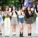 펀치 이미지