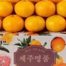 제주 담은 귤(남원농장)