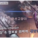 테마공간 이미지