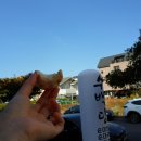 수백당제주이도점 이미지