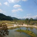 건강공원 테니스장 이미지