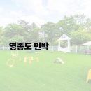 예림모텔 | 영종도민박 비교: 안악민박 vs 예림펜션 – 가성비냐 쾌적함이냐, 여행 스타일에 맞는 선택은?
