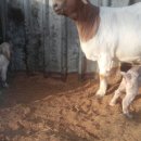 이천제이농장 이미지