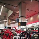 에스바디휘트니스 | 골드에스 휘트니스에서 바디프로필 준비 시작한 진짜 후기