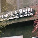 좋아서하는 동물병원 이미지