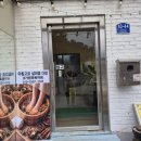 아침고요체험 살피꽃다방 | 가평 한방족욕체험 : 아침고요살피꽃다방 : 여행 중 힐링하기 좋았던 곳