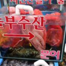 정동수산 이미지