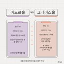 [웨딩] 용인|수원 아이티컨벤션 그레이스홀 26년 상반기 홀투어 후기 (계약 X)