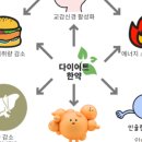 경희김한겸한의원 | [다이어트한약 후기] 두달만에 7kg 감량이 가능할까? (인바디有)