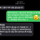 캠프메리어라운드 이미지