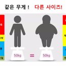 쌍용아파트후문맞은편 이미지