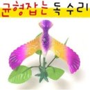 제이제이 이미지