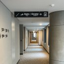 오라카이 청계산 호텔 디럭스 트윈 호캉스 후기 (루프탑트랙, 일리카페, 고양이 카이 영접)