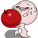 정화식당 이미지