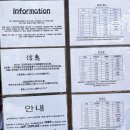 [이시가키 5박 6일_셋째날] 이시가키 렌트카 예약 없이 당일 대여 성공! 야이마무라(원숭이 공원...