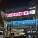 진접애견미용 이미지