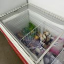 포레스트 | 포천캠핑장 "포레스트사운드" 후기