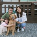 바람이분다 이미지
