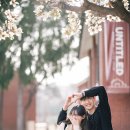 일단지공원 이미지