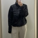 페이스테크 | [노스페이스] 전소미 크롭 후리스 RMST 데날리 테크 하이브리드 자켓(NJ4FR87A) 후기