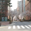 동백미즈산부인과의원 이미지