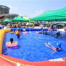싱싱장터 아시아경제