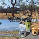 을의커피 | 춘천 소울로스터리 옥수수커피, 코코넛말차 후기