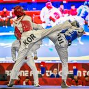 퍼펙트태권도 이미지