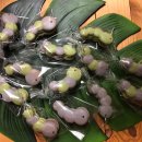 꿈꾸는마카롱 이미지