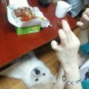 카스리더스주 | 진해가볼만한곳 추천! 석동밥집,술집 다 되는 뽕아저씨!