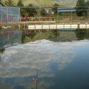 내촌낚시터 이미지