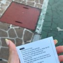 피넥트 이미지