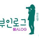 도그니팅
