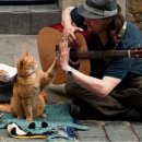 광양동물메디컬센터 이미지