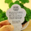 홀릭전자담배 이미지