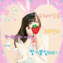 헤어살롱모모 이미지