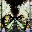 아레나파크웨딩 이미지