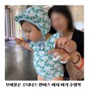 여름 물놀이 준비 모이몰른 여자 아기 수영복 로디니스 원피스 후기