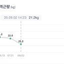 3Y짐 이미지