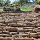 혜원농장 이미지