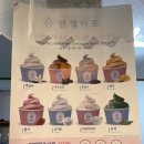 카페광령올레17