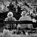 Sh art hall 이미지