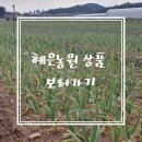 혜은농장 네이버블로그