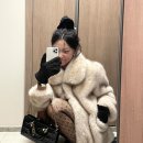 셀리르 이미지