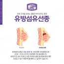 서울갑유외과의원 이미지