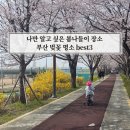 01-33 동구 | 부산 벚꽃 명소 나만 알고 싶은 봄나들이 장소 best3