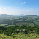 구좌공설묘지 이미지