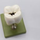 서울아주치과의원 이미지