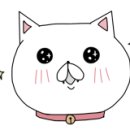 정왕돼지집 이미지