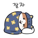 생포탄 이미지